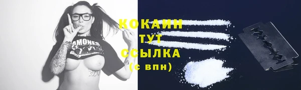 крисы Богородск