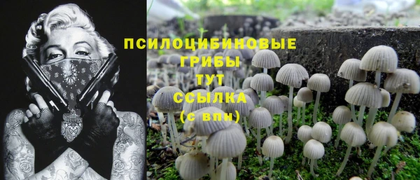 дистиллят марихуана Богданович
