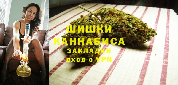 крисы Богородск