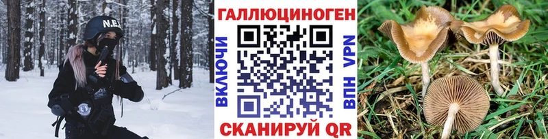 Псилоцибиновые грибы Magic Shrooms  Городец 