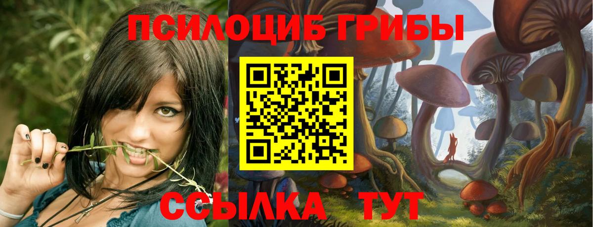 Галлюциногенные грибы Magic Shrooms  Вход с VPN  Псилоцибиновые грибы Psilocybine cubensis  Городец 